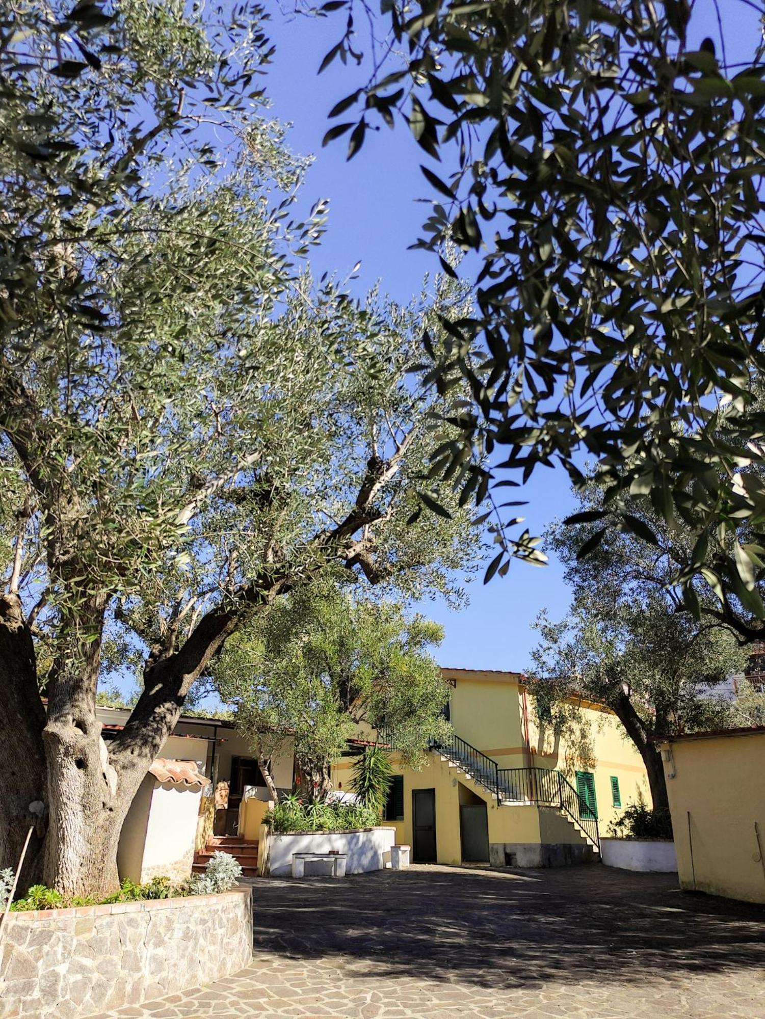 Case Vacanza Da Domingo Marina di Camerota Buitenkant foto